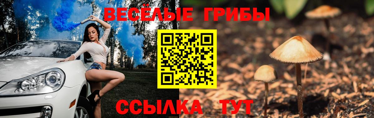 Карпинск  Галлюциногенные грибы мухоморы  Псилоцибиновые грибы MAGIC MUSHROOMS  Вход с VPN 