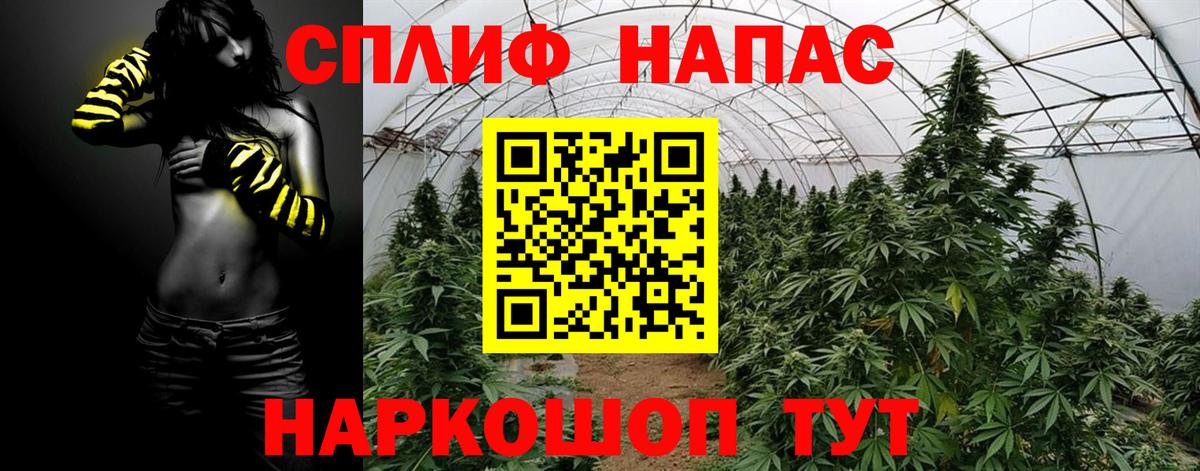 Шишки марихуана конопля  Бошки Шишки конопля  МАРИХУАНА план  Вход с VPN  Марихуана White Widow  Карпинск 